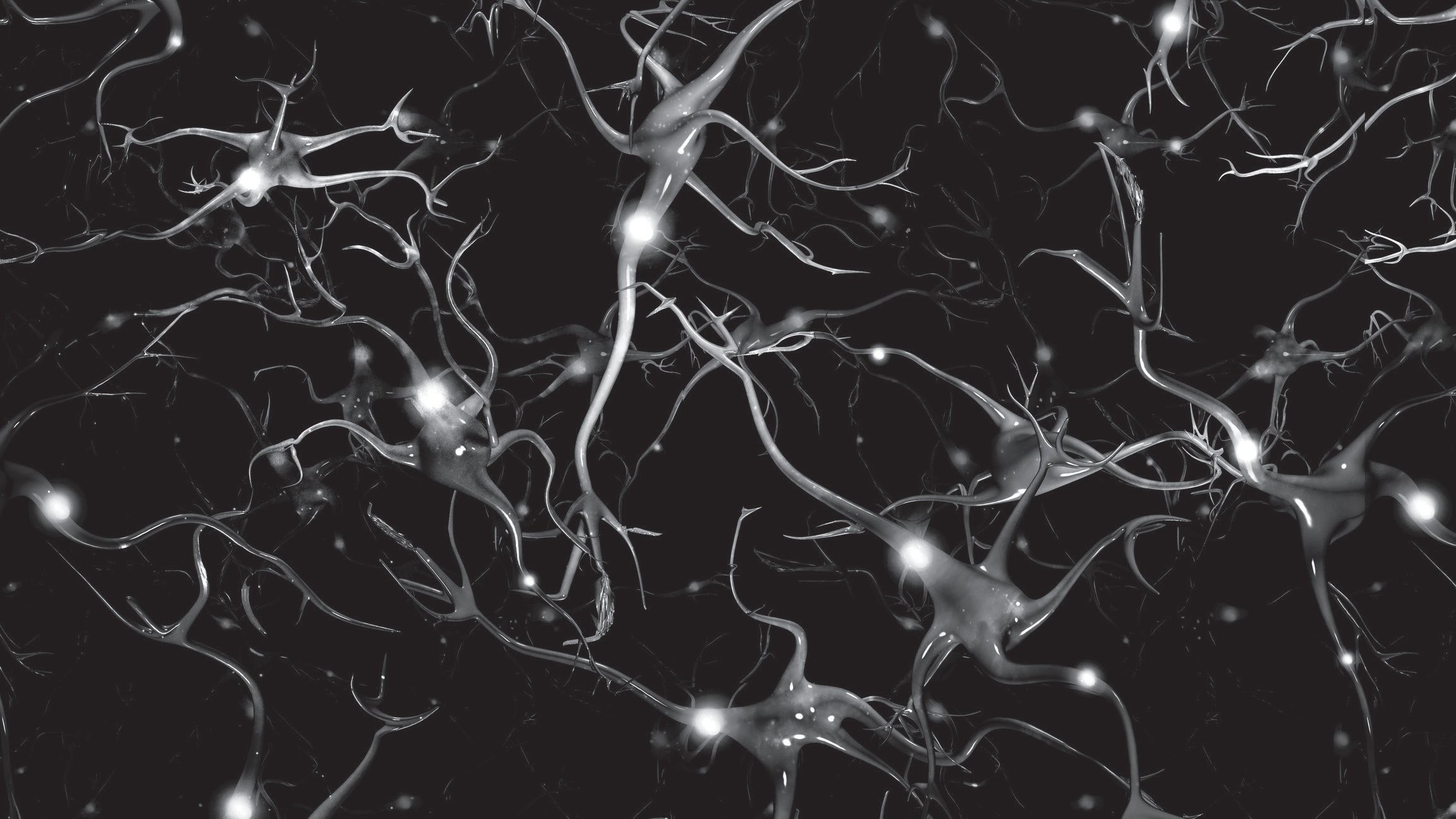 Picture of Brain1