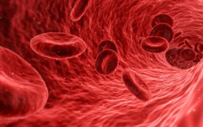 Baby Breathing Benefits – Blood Flow